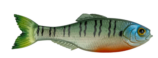 6th Sense Panorama Shad