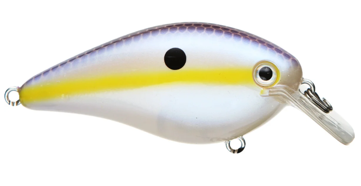Strike King KVD 1.5 Square Bill Silent