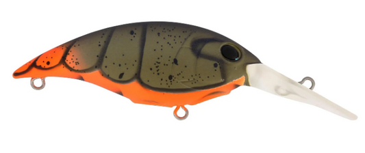 Berkley Money Badger