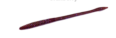 Zoom Trick Worm