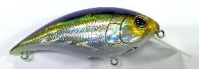 Berkley Shallow Money Badger 6.25
