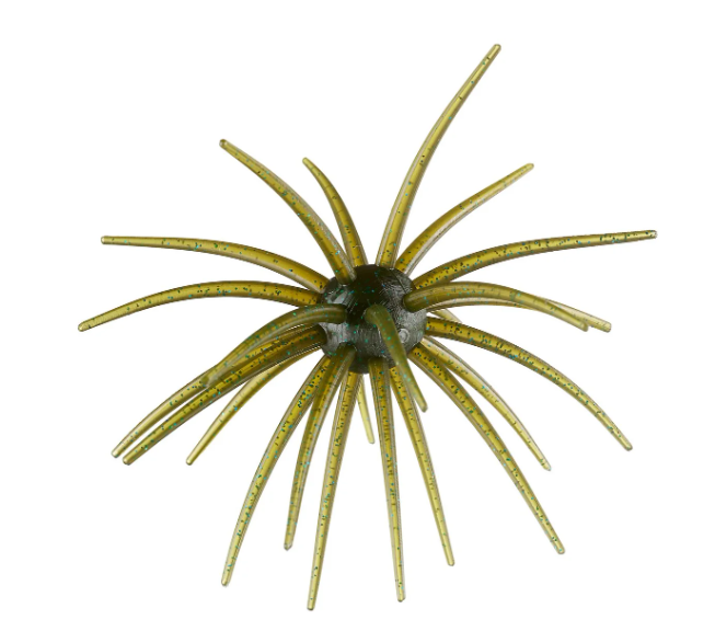 Hag's Bait Prickly Pear
