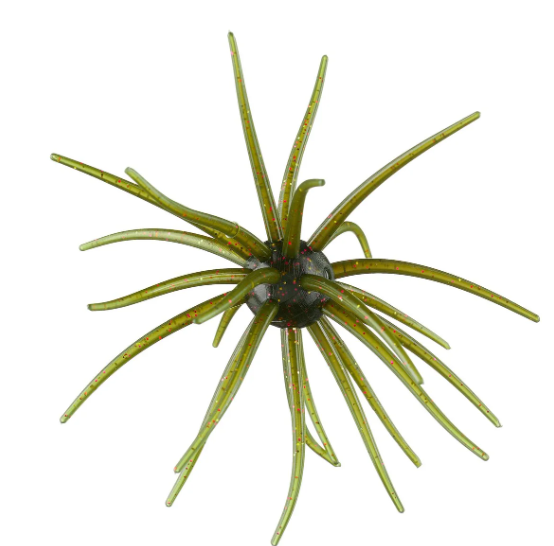 Hag's Bait Prickly Pear