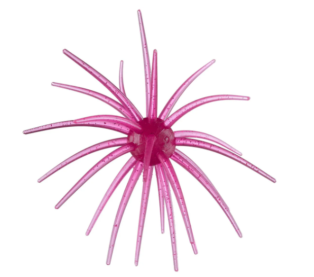 Hag's Bait Prickly Pear