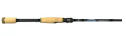 Dobyns Rods Champion 7' MHMF