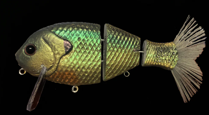 Bull Shad Wake Gill