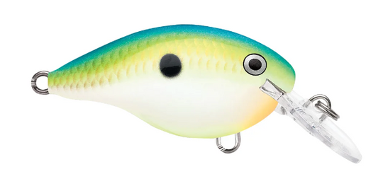 Rapala DT 04 Crankbait