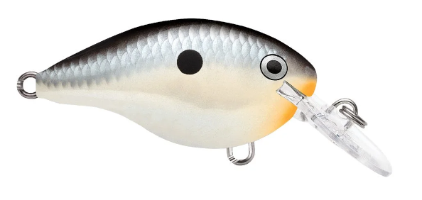 Rapala DT 04 Crankbait
