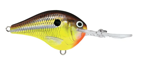 Rapala DT 10 Crankbait