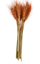 Small Wheat Bundle