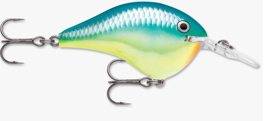 Rapala DT 06 Crankbait