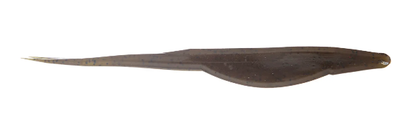 Zoom Baits Magnum Super Fluke