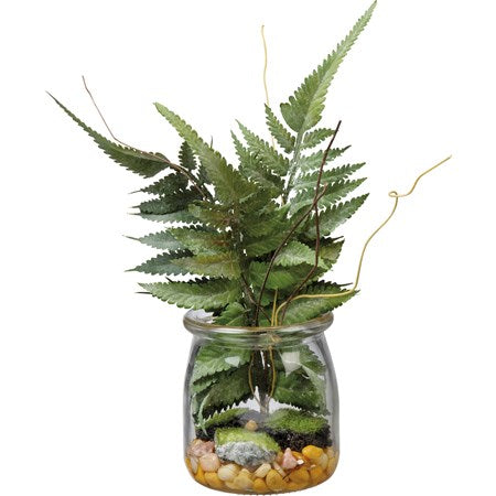 Jar - Boston Fern