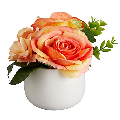 Peach Flowers Potted