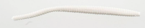 Berkley PowerBait Floating Trout Worm