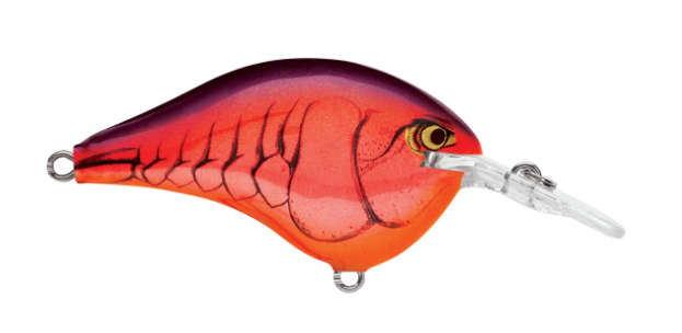 Rapala DT 06 Crankbait