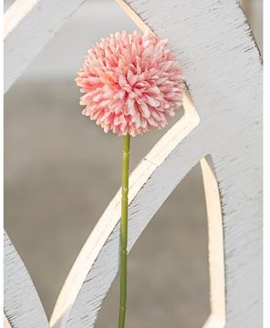 Pompom Stem, Blush
