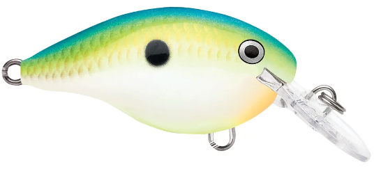 Rapala DT 08 Crankbait