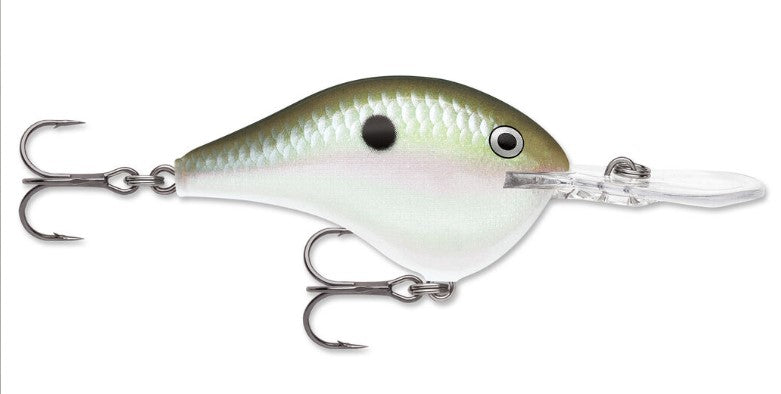 Rapala DT 10 Crankbait