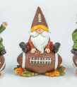 Fall Football Gnome