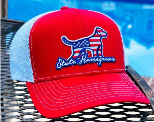 Old Glory Pointer Hat