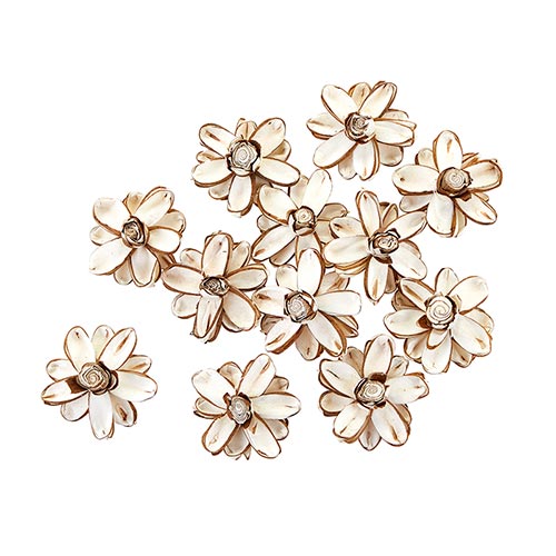Shola Chat Flower Set/12