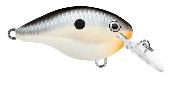 Rapala DT 10 Crankbait