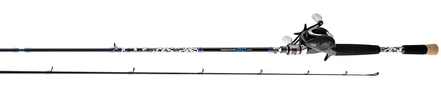 Daiwa Procaster 80 Combo