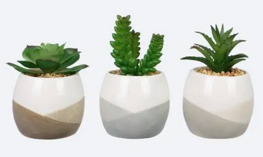 Ceramic Positive Vibes Succulents