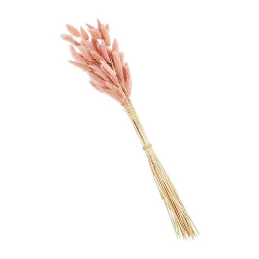 Pink Preserved Bunny Tail Stem
