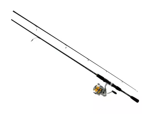 Daiwa Revros LT. Combo 6'6" Spinning