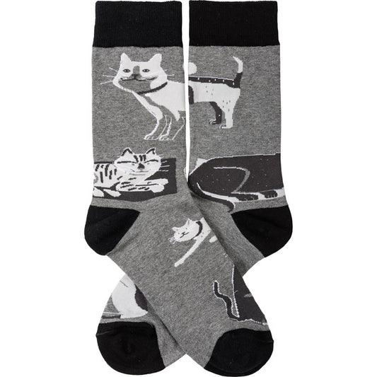 Socks Cat & Dog