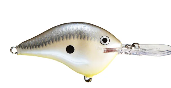 Rapala DT 10 Crankbait