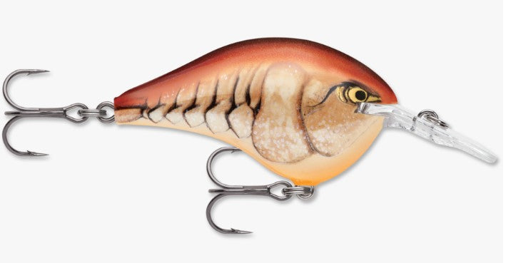 Rapala DT 10 Crankbait