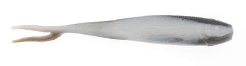 Berkley Gulp Minnow