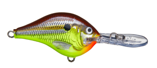 Rapala DT 08 Crankbait