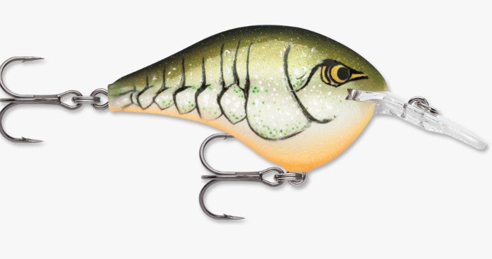 Rapala DT 10 Crankbait