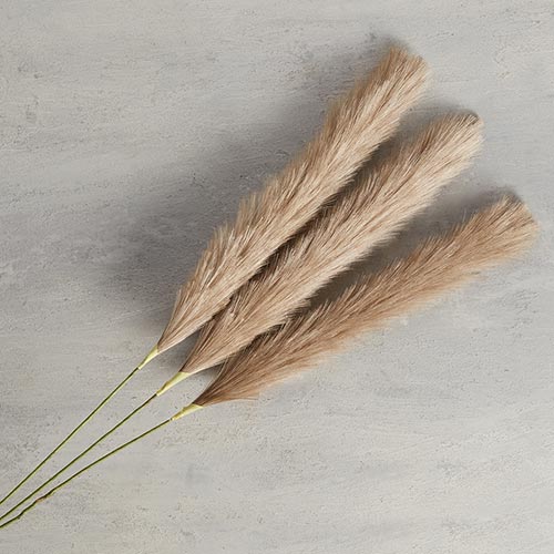 Brown Pampas Bunch Lg