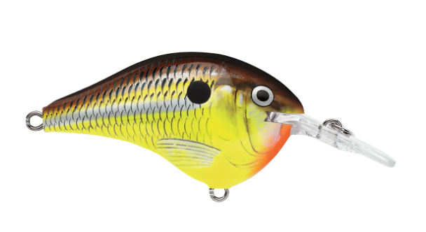 Rapala DT 06 Crankbait